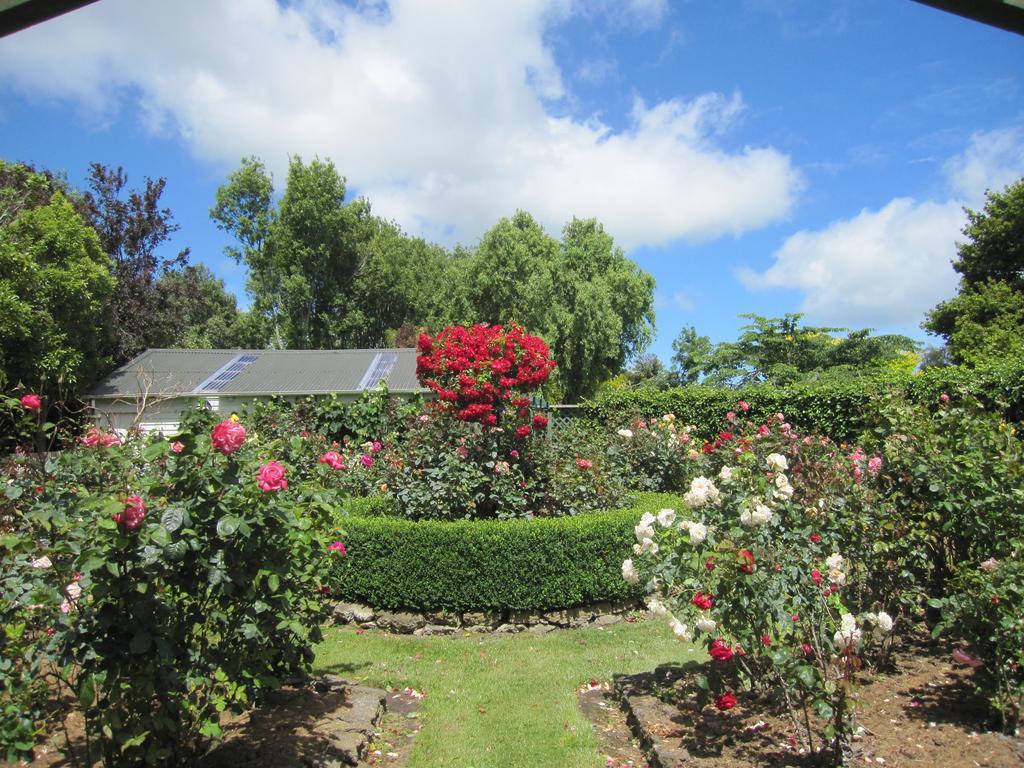 Bed and Breakfast Thyme Out Estate Halcombe Esterno foto