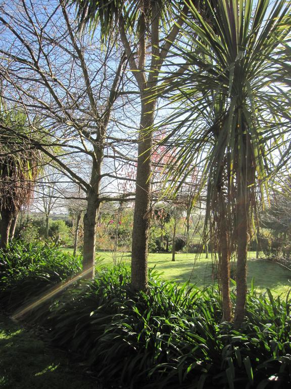Bed and Breakfast Thyme Out Estate Halcombe Esterno foto