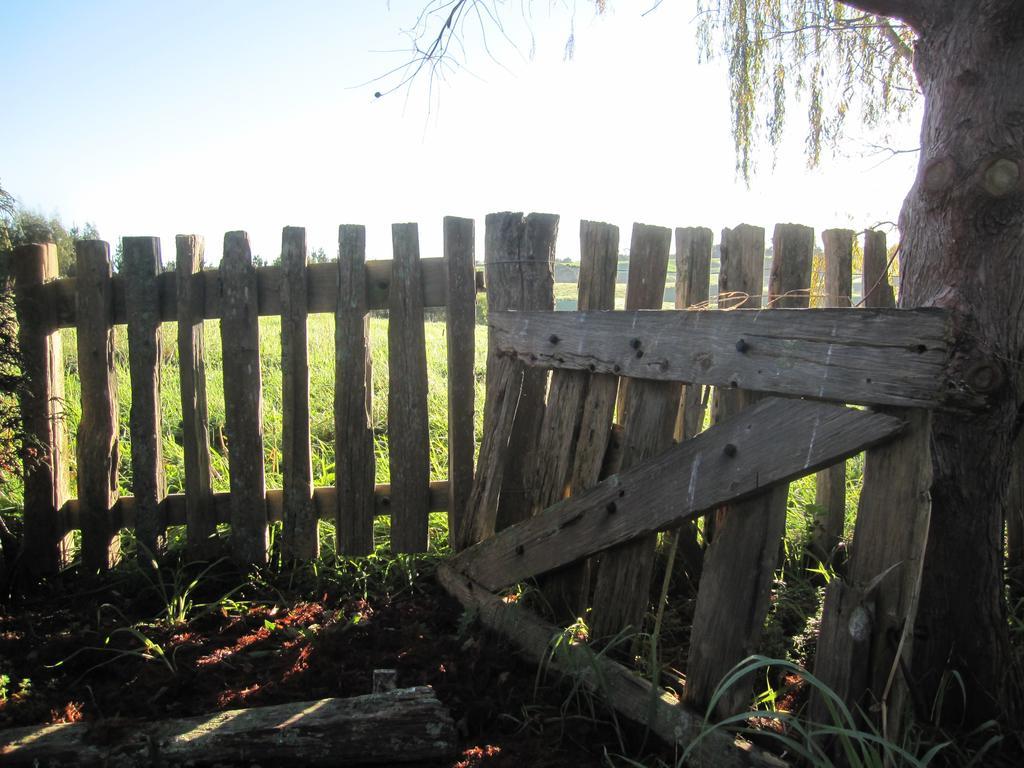 Bed and Breakfast Thyme Out Estate Halcombe Esterno foto